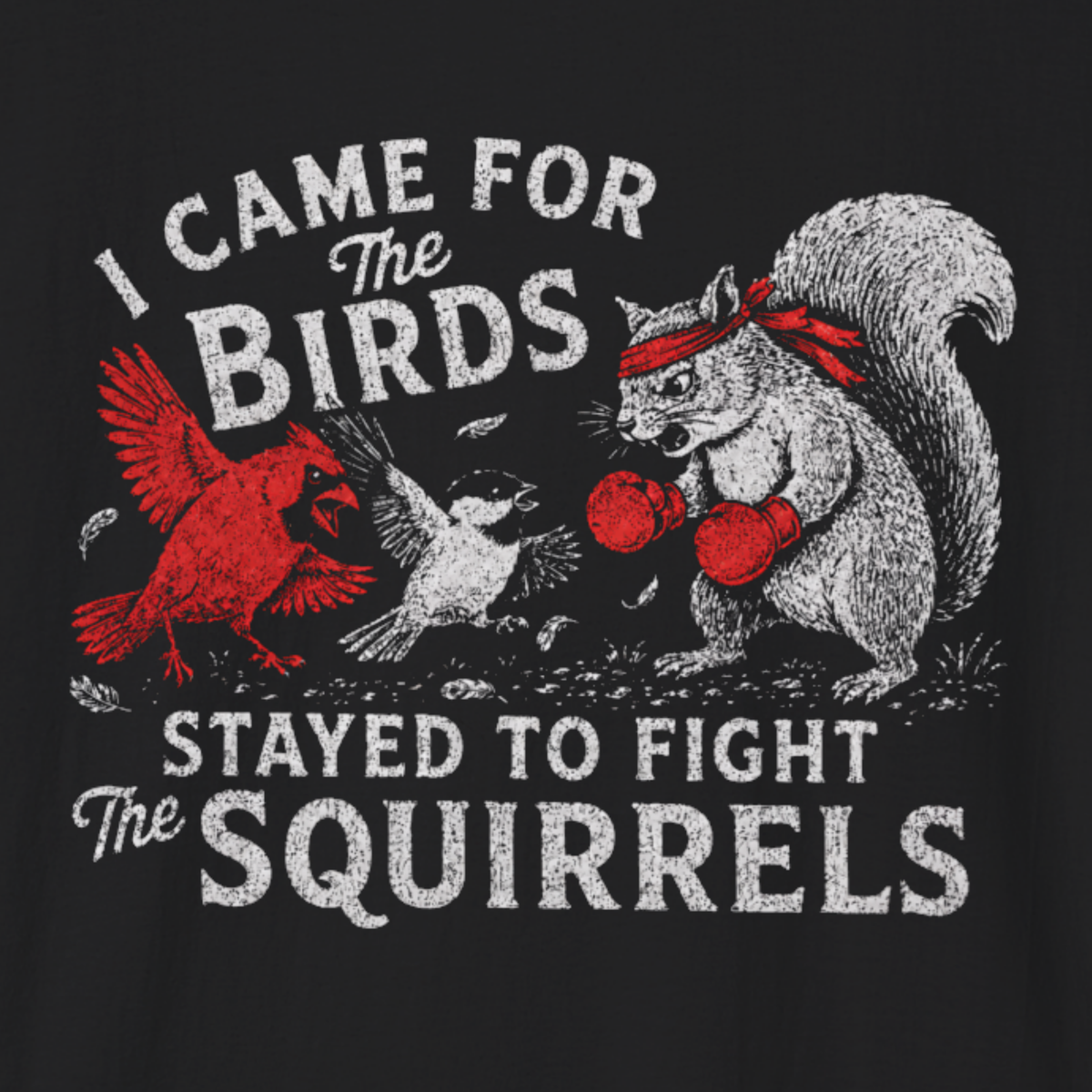 I Came for the Birds Stayed to Fight the Squirrels T-Shirt – Funny Birdwatching Tee